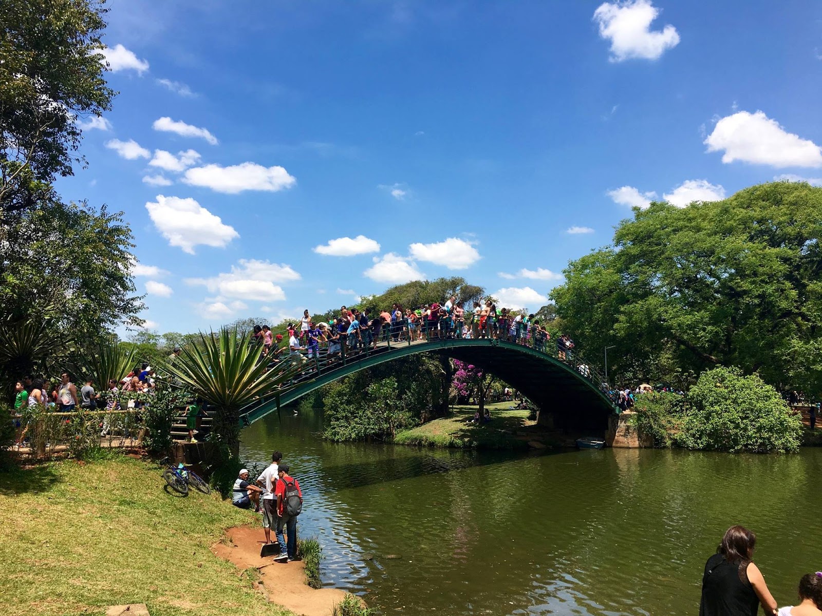 o que fazer em são paulo grátis fim de semana