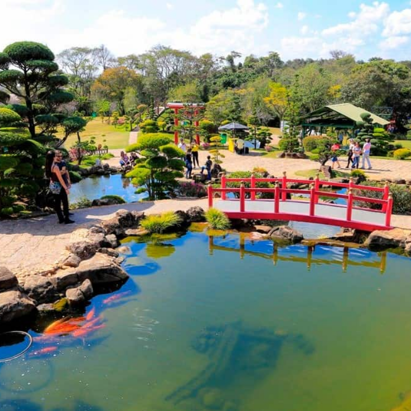 eventos culturais são paulo feriado 2026