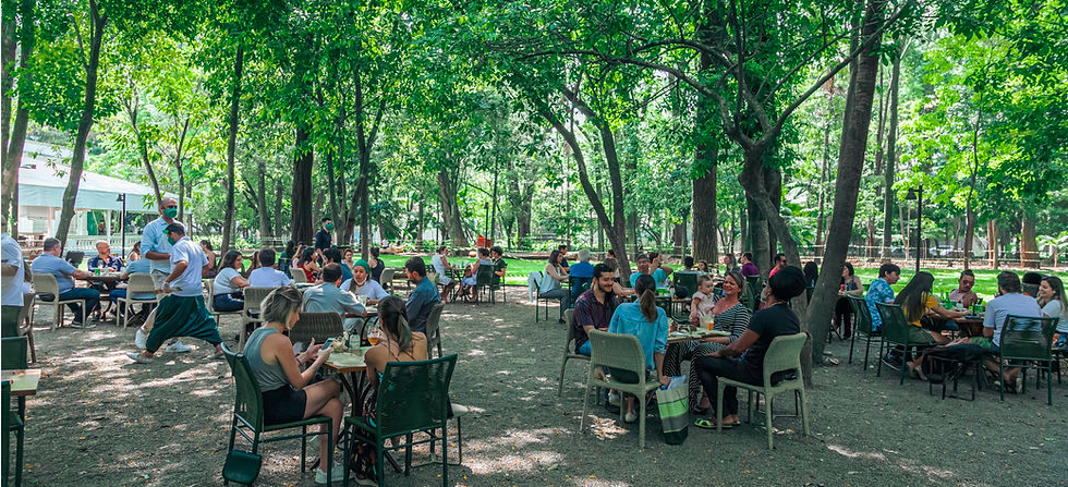 restaurantes com vista são paulo